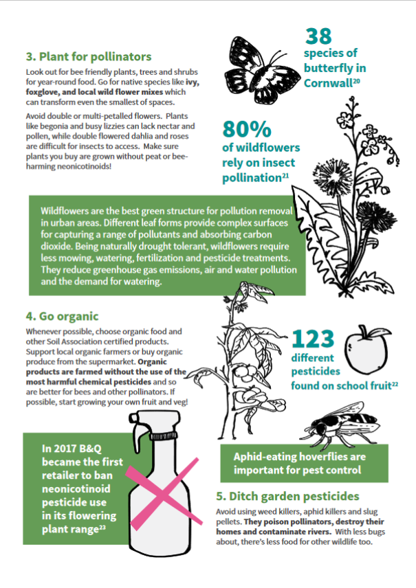 Top tips to help pollinators: 3 Plant, 4 Go organic, 5 Ditch pesticides